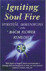 IGNITING SOUL FIRE