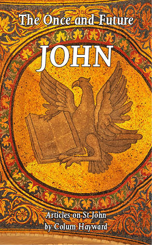 The Once and Future John - Colum Hayward - Polair Publishing